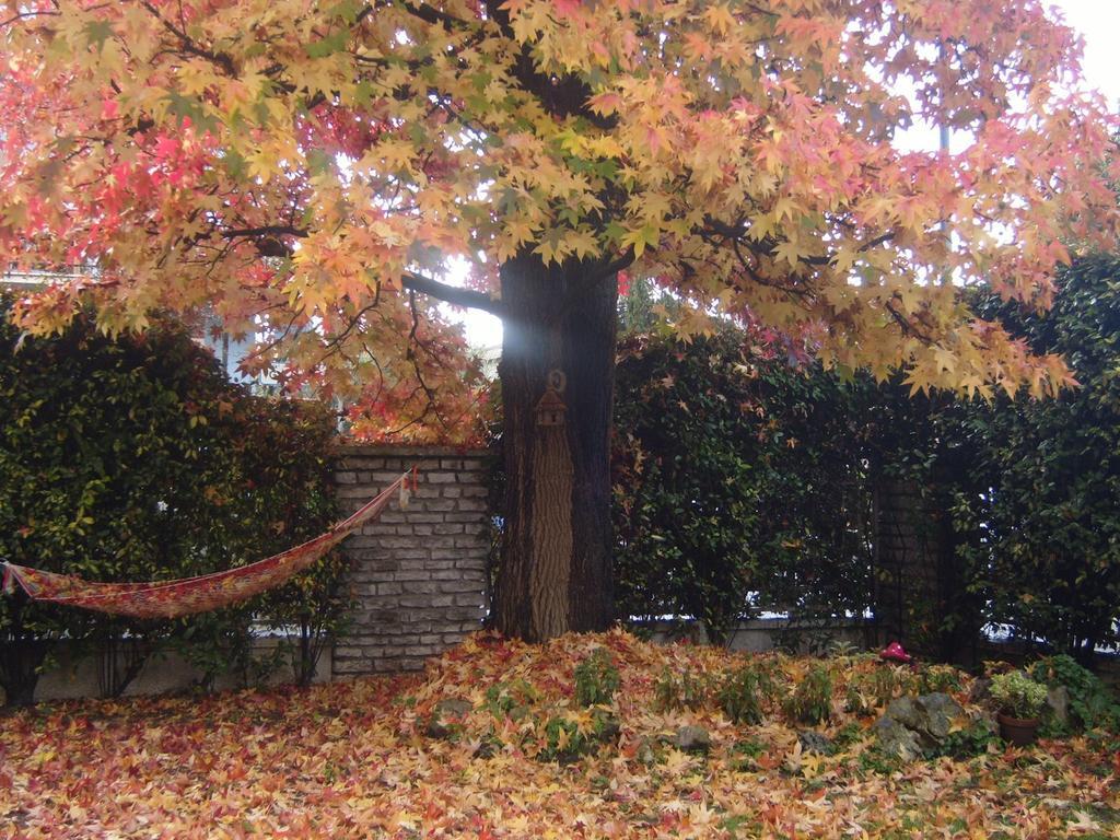Bed & Breakfast Agli Aceri Verona Quarto foto